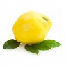 Membrillo (1 kilo)