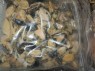 Choritos C/Concha 1/2 kilo