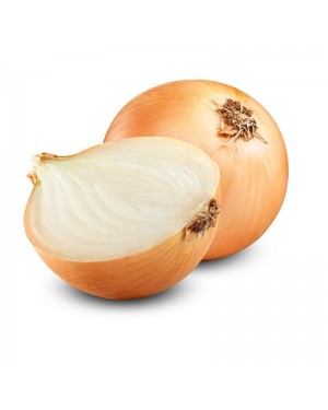 Cebolla