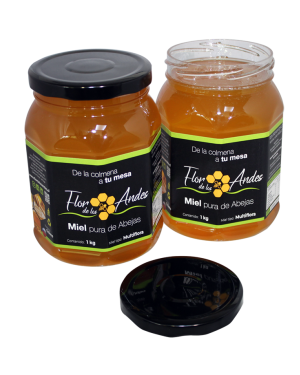 Miel Flor de Los Andes 1 Litro