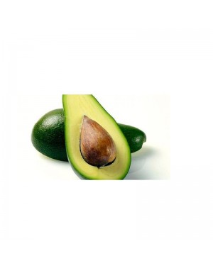 Palta Edranol