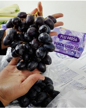 UVA NEGRA 