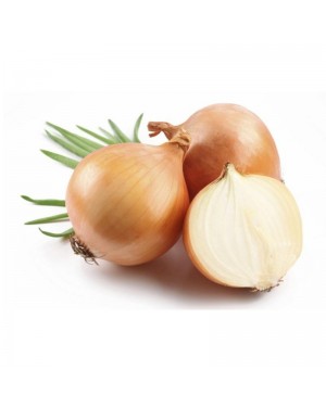 Cebolla