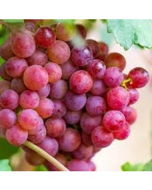 Uva Rosada sinpepa (1/2 kilo)