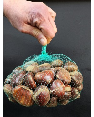 Malla de Castaña1 kilo 